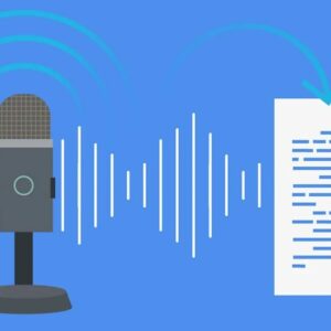 Voice api